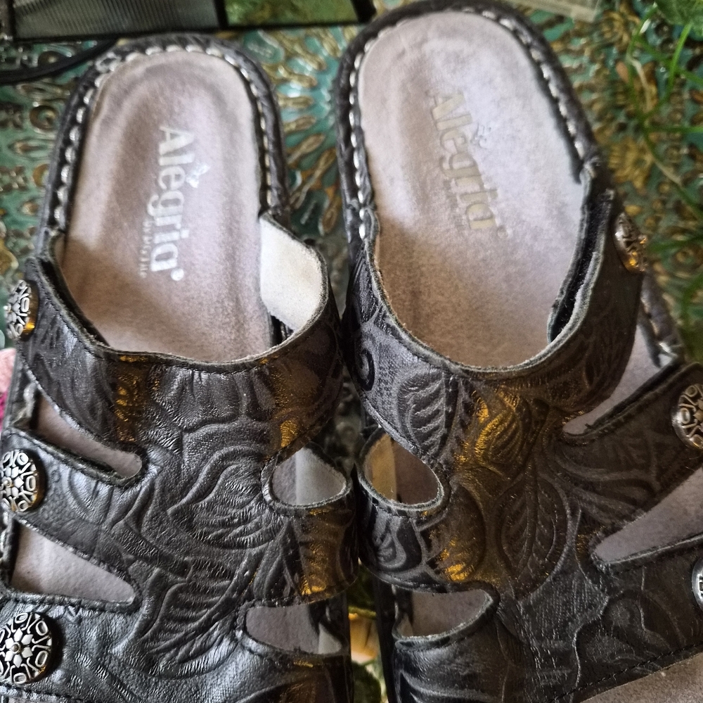 Alegra Shoes Venice Lightly Worn In New Condition-♡